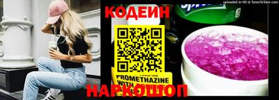 шишки Обь
