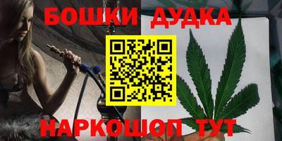 шишки Обь