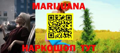 шишки Обь
