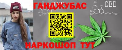 шишки Обь
