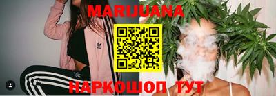 шишки Обь