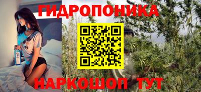 spice Обнинск