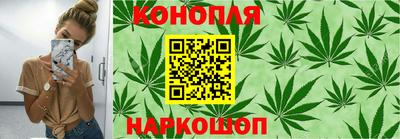 шишки Обь